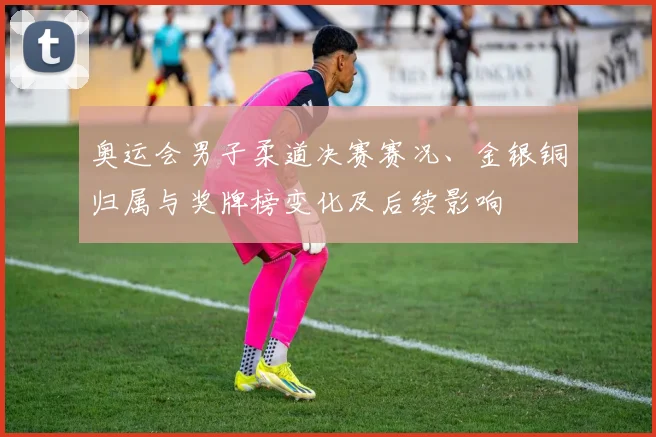 奥运会男子柔道决赛赛况、金银铜归属与奖牌榜变化及后续影响