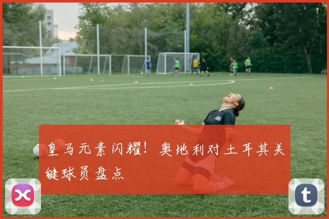 皇马元素闪耀!奥地利对土耳其关键球员盘点