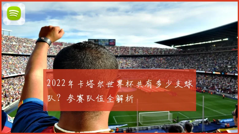 2022年卡塔尔世界杯共有多少支球队?参赛队伍全解析