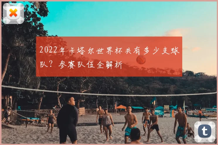 2022年卡塔尔世界杯共有多少支球队？参赛队伍全解析
