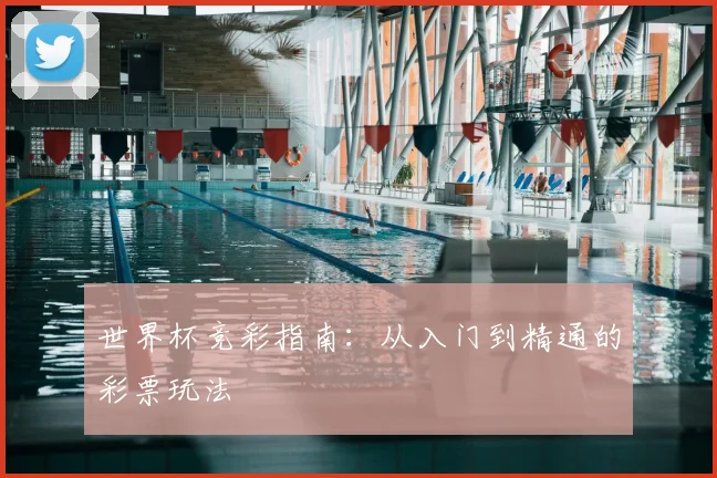 世界杯竞彩指南：从入门到精通的彩票玩法