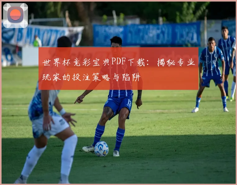 世界杯竞彩宝典PDF下载：揭秘专业玩家的投注策略与陷阱