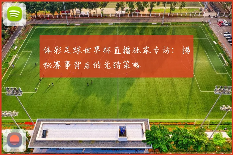 体彩足球世界杯直播独家专访：揭秘赛事背后的竞猜策略