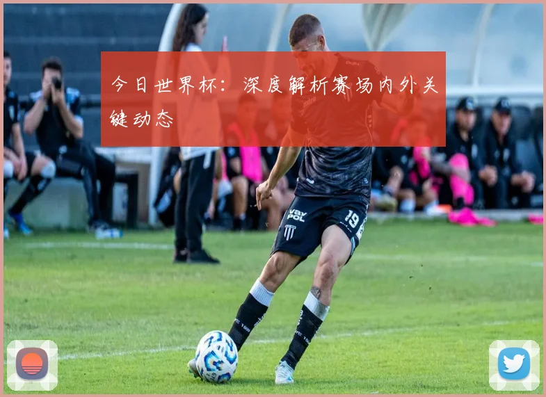 今日世界杯：深度解析赛场内外关键动态