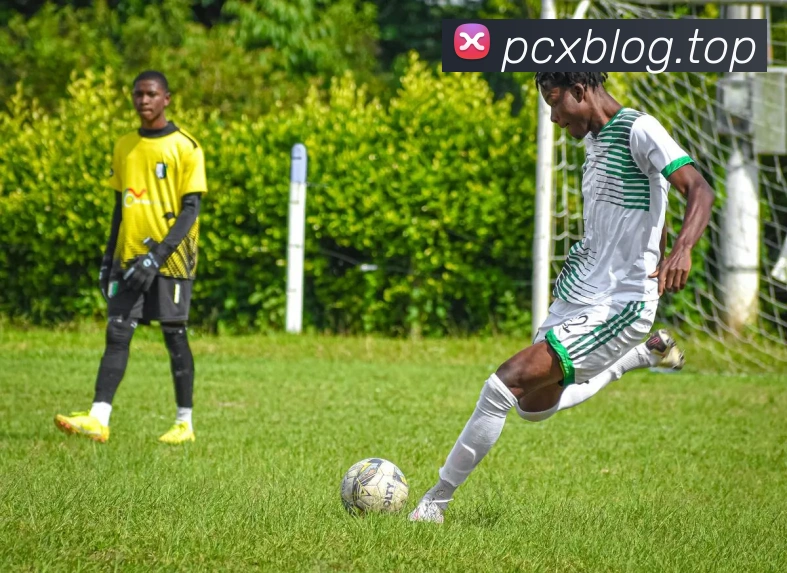 App Interface Preview