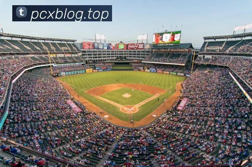 金年汇网页版登录入口APP 封面图